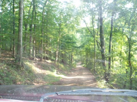 1980 Ford Bronco - Almost back to the gravel road. I love this area and we usaly see deer here, and we saw one on the way in this day.