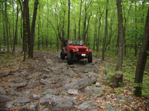 2003 Jeep Wrangler