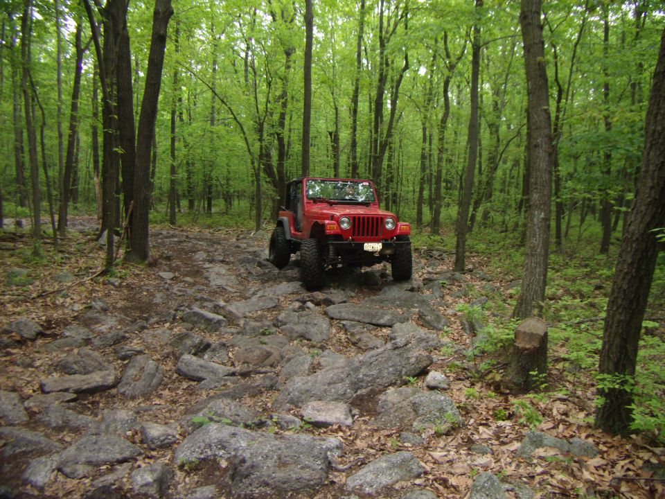 Red 2003 Jeep Wrangler driving on a rocky trail through a forest