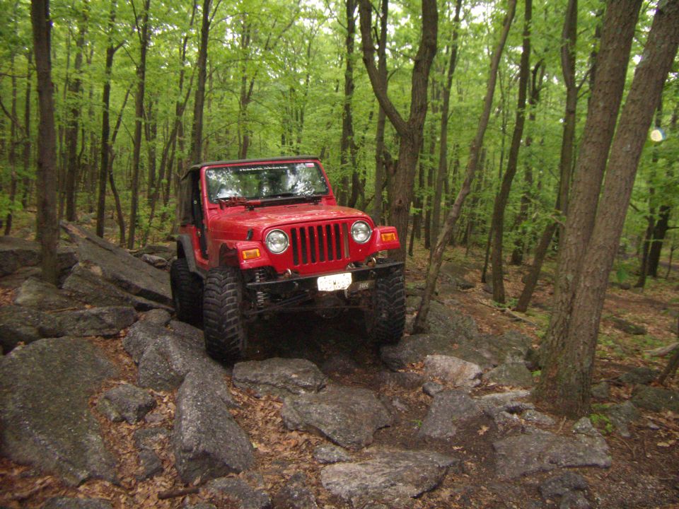 Red Jeep Wrangler on a rocky forest trail