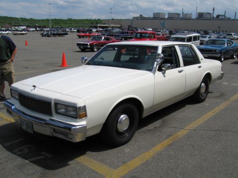 1991 Ford LTD Crown Victoria - white Chevrolet Caprice sedan is parked at a large car show with rows of classics in the background.