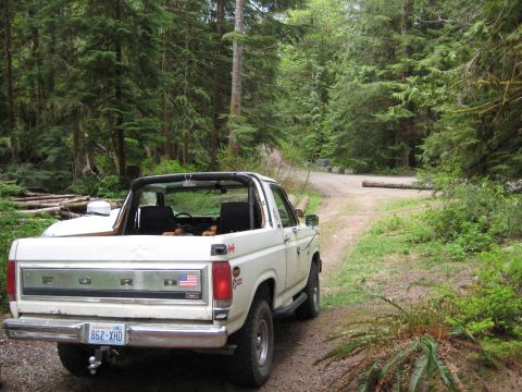 1980 Ford Bronco