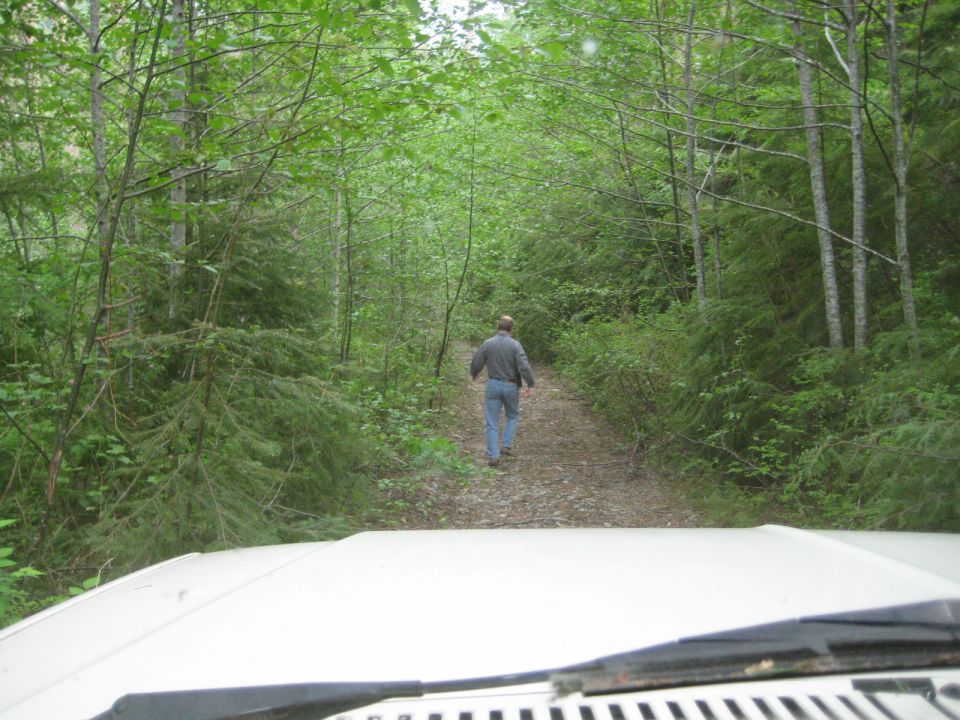 White vehicle hood in foreground, man walking on dirt road into forest.