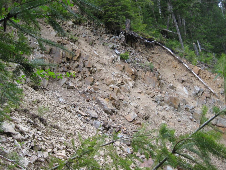 rockslide with trees and foliage