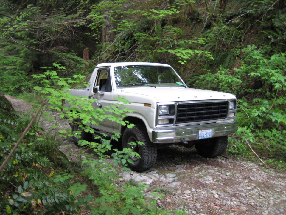 White 1980s Ford pickup truck on a forest road.