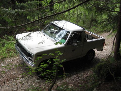 1980 Ford Bronco