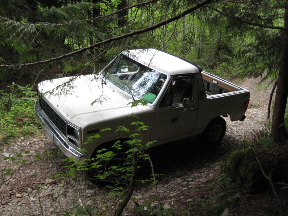 White 1980s Ford pickup truck on a forest path.