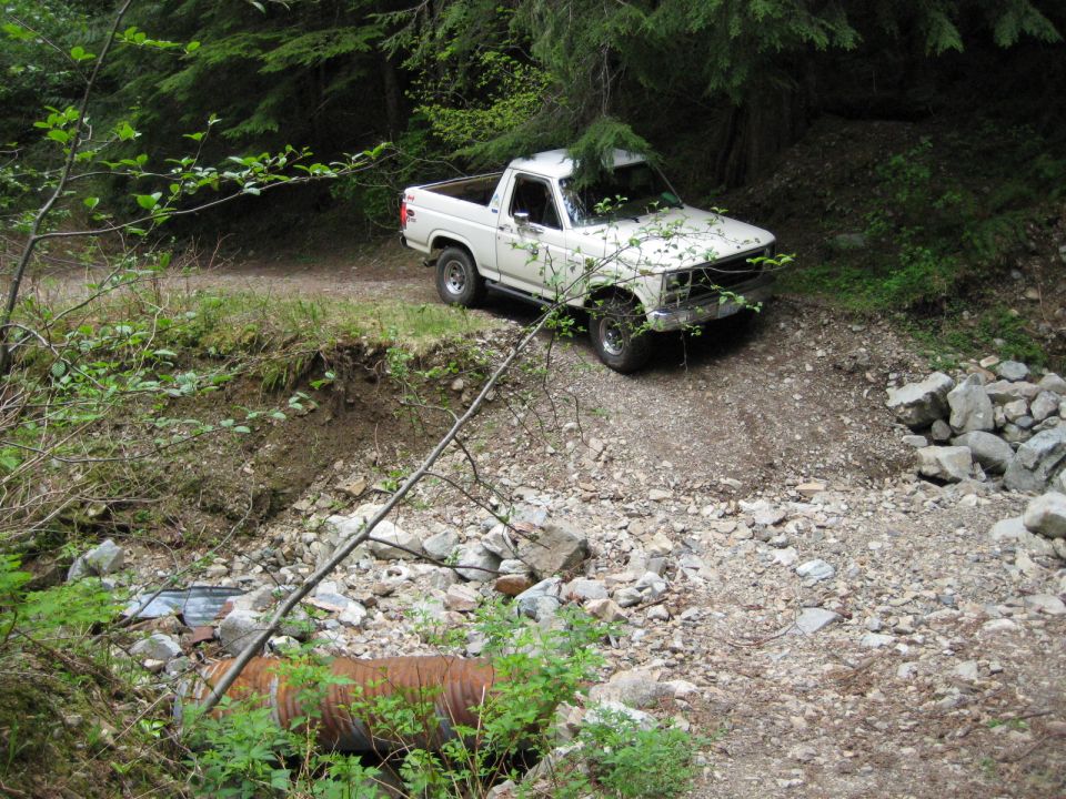 White 1980s Ford Bronco on a wooded trail