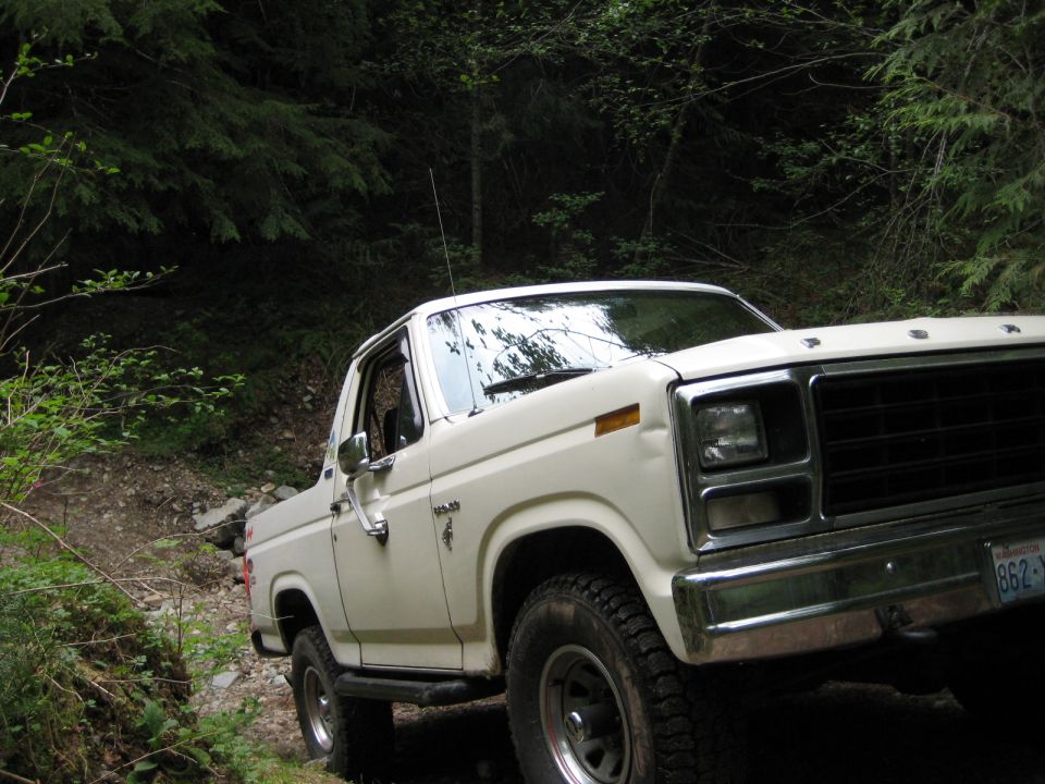 White 1980s Ford Bronco on a dirt road in a forest.