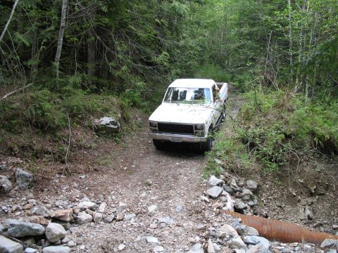 1980 Ford Bronco