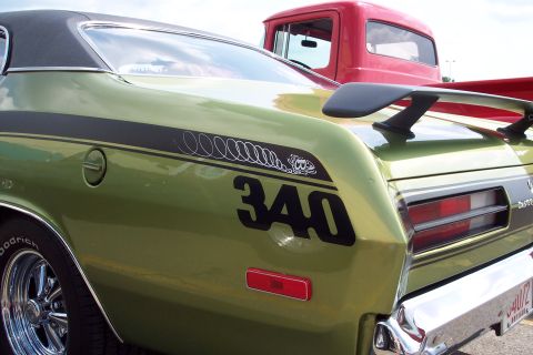 2001 Ford Crown Victoria - The rear quarter panel of a light green classic muscle car is shown, featuring a black stripe with a coiled snake graphic and the number "3…