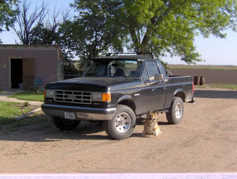 1987 Ford Bronco - A black Ford F-150 pickup truck is parked on a dirt lot next to a small building and a tree.