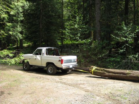 1980 Ford Bronco