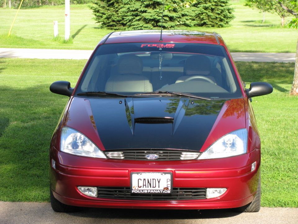 Red 2003 Ford Focus with black hood and custom license plate