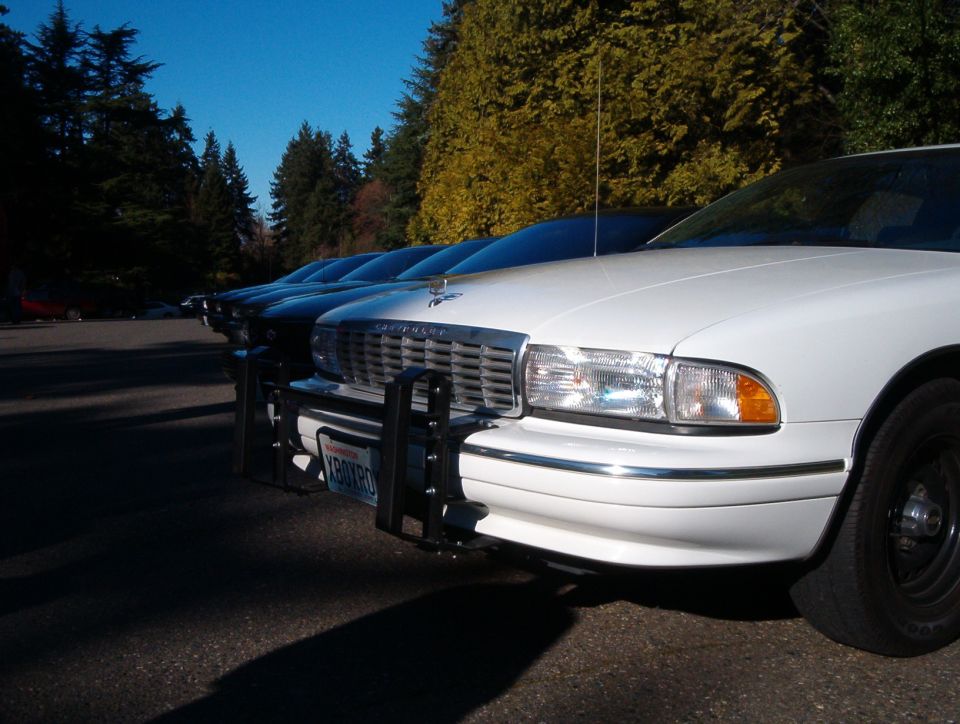 White Chevrolet sedan with push bar and Washington plate, lined up with dark cars in a lot