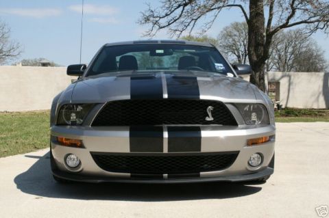 2008 Ford Mustang - Silver Ford Mustang Shelby GT500 with black racing stripes parked outdoors.