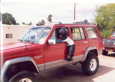 2006 Hummer H2 “rattlesnakeman”