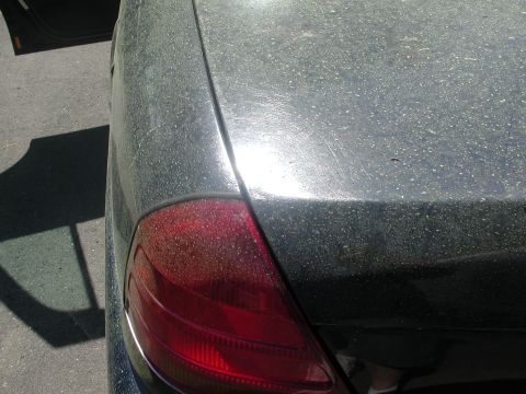 1999 Ford Crown Victoria - Rear view of a dusty 1999 Ford Crown Victoria, showing the taillight and quarter panel.
