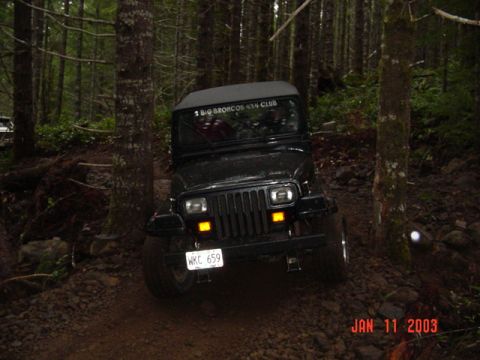 1995 Jeep Wrangler - This is what you call "woods"