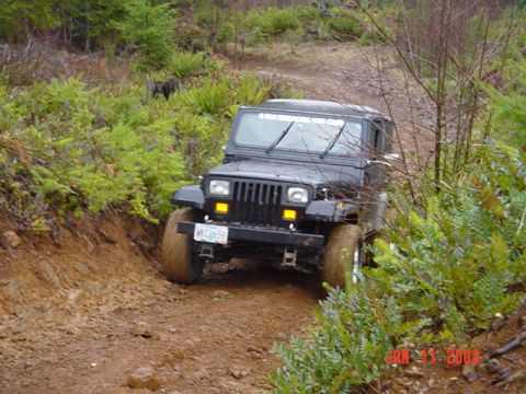 1995 Jeep Wrangler - Doin' it