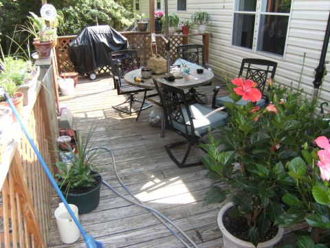 1992 Ford F-150 - A wooden deck is furnished with a table and chairs, a covered grill, and potted plants, including hibiscus flowers.