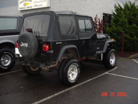 1995 Jeep Wrangler “Black Dragon”