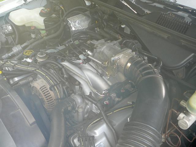 V8 engine bay showing alternator, intake manifold and coolant reservoir