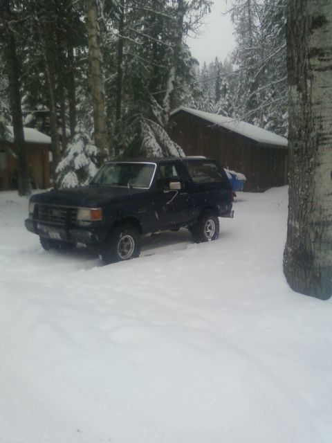 1988 Ford Bronco - Ford Bronco sits in a snowy landscape, partially obscured by trees and a building.