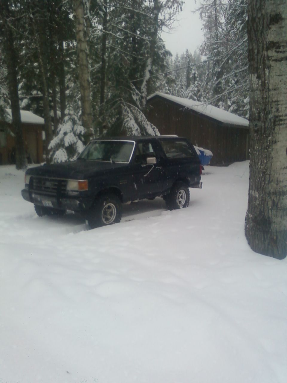 Dark blue Ford Bronco parked in deep snow near a wooden building and trees