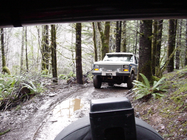 Todd navigating the trees