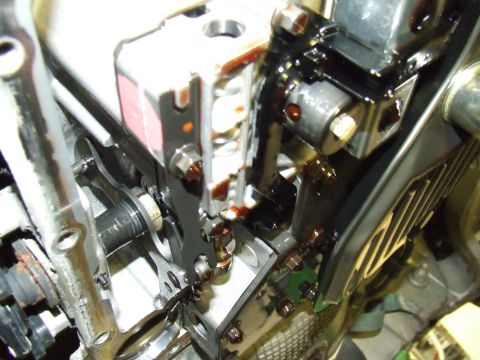 2003 Ford Crown Victoria - Closeup of the rooster comb.