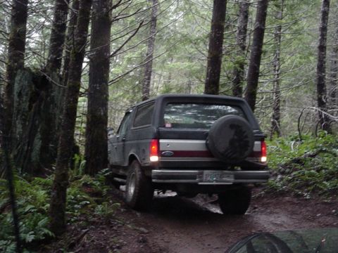 1995 Jeep Wrangler “Black Dragon”