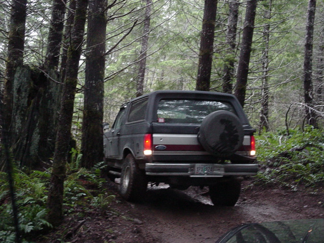 Ford Bronco driving on a dirt road in a forest