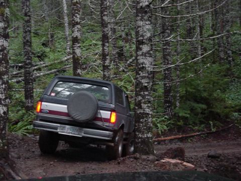 1995 Jeep Wrangler “Black Dragon”