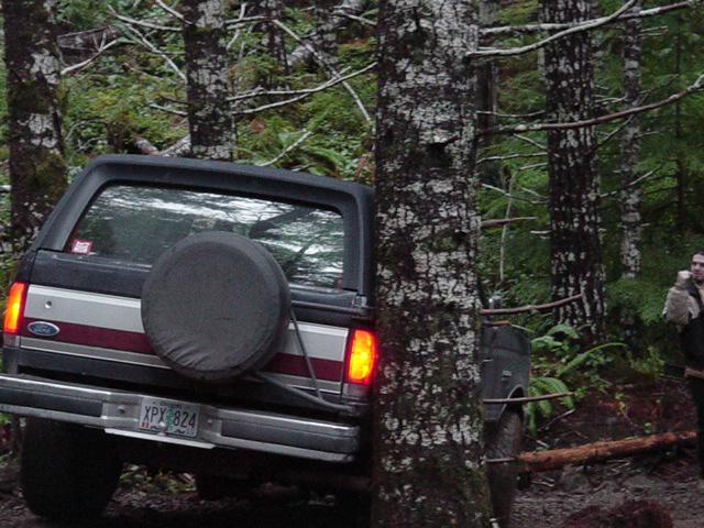 Rear of dark SUV with spare tire, license plate XPY 824, in a forest setting