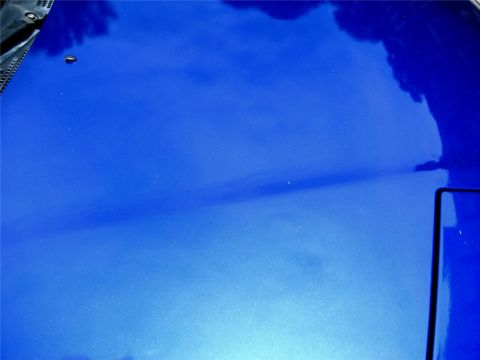 1993 Ford Probe - A close-up, angled shot of the metallic blue hood of a 1993 Ford Probe, showing reflections of trees and sky. A black washer nozzle is visi…