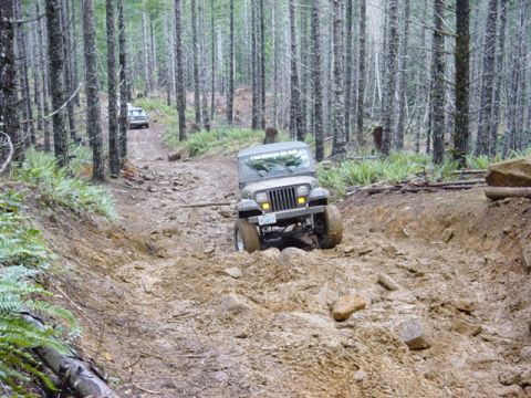 1995 Jeep Wrangler “Black Dragon”