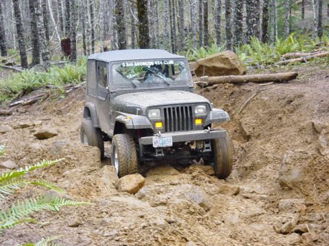 1995 Jeep Wrangler “Black Dragon”