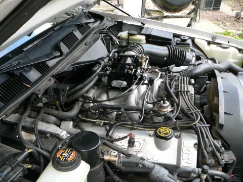 1997 Mercury Grand Marquis - Engine bay of a light-colored vehicle showing a V8 with intake manifold, spark plug wires and fluid reservoirs.