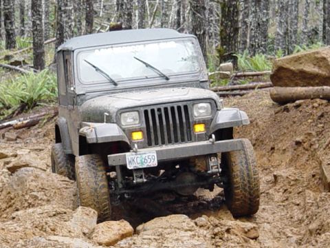 1995 Jeep Wrangler “Black Dragon”