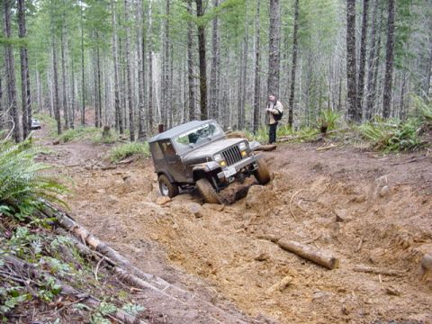 1995 Jeep Wrangler “Black Dragon”