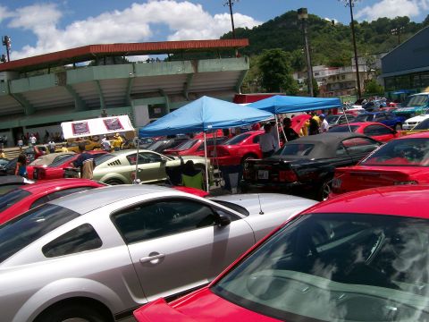 2001 Ford Mustang - A gathering of Ford Mustangs at an outdoor event, with a stadium in the background.