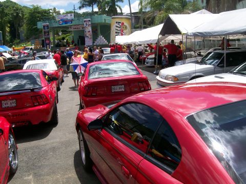 2001 Ford Mustang - Multiple red Ford Mustangs are parked at an outdoor event, with tents and spectators in the background.