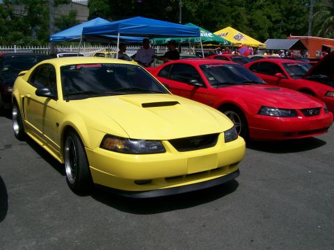 2001 Ford Mustang - Several Ford Mustangs, including a yellow 2001 model, are displayed at a car show event.