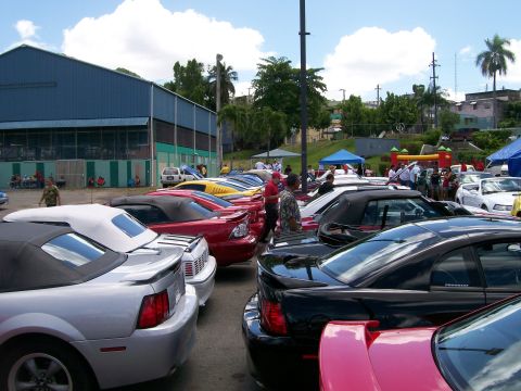 2001 Ford Mustang - Multiple Ford Mustang convertibles are parked in a lot under a cloudy sky, with a building and trees in the background.