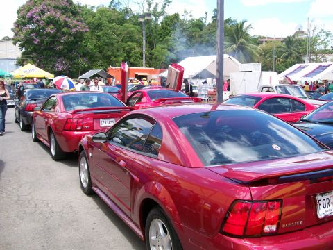2001 Ford Mustang - Several red Ford Mustangs are parked in a line at an outdoor car show, with one car's doors open.