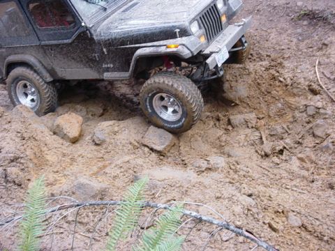 1995 Jeep Wrangler “Black Dragon”