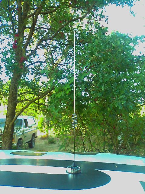 2000 Ford Crown Victoria - A car antenna stands tall against a backdrop of trees and another vehicle.
