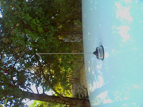 2000 Ford Crown Victoria - A car antenna extends from the side of a light blue vehicle, with trees visible in the background.