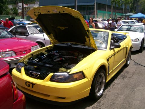 2001 Ford Mustang - A yellow 2001 Ford Mustang GT convertible is displayed with its hood open at a car show.